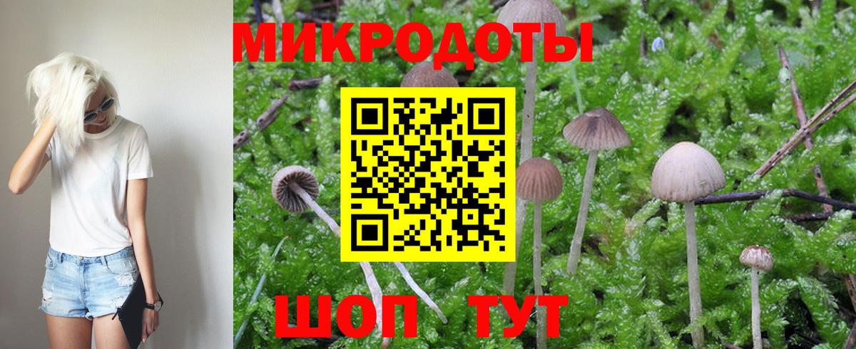 Галлюциногенные грибы мухоморы Выборг