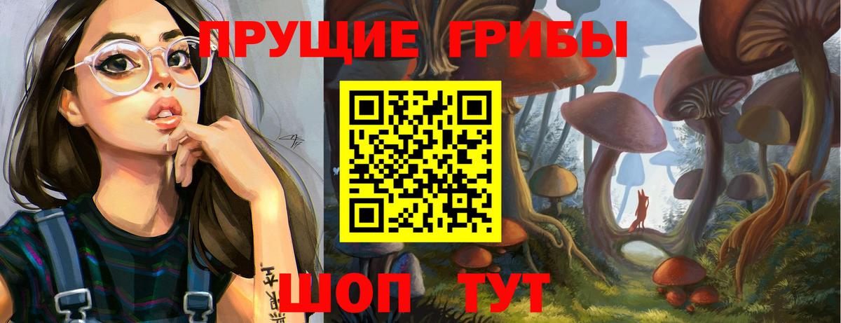Выборг  Псилоцибиновые грибы Cubensis  наркота  Вход с VPN  Галлюциногенные грибы ЛСД 